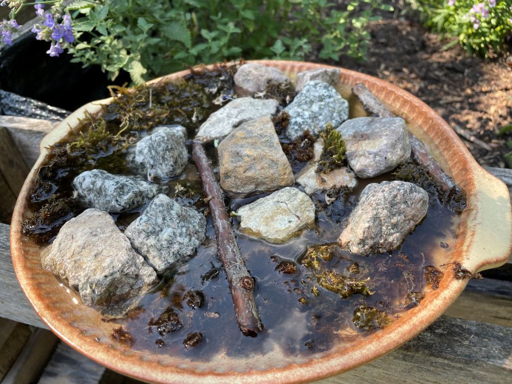 Mit einfachen Wasserstellen Tieren durch heiße Sommertage helfen